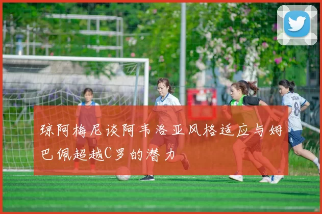 琼阿梅尼谈阿韦洛亚风格适应与姆巴佩超越C罗的潜力